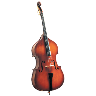 DOUBLE BASSES