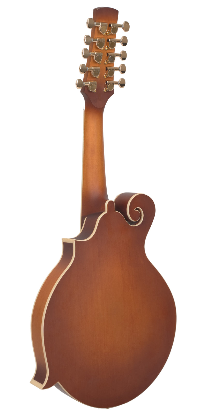 Gold Tone F-10 10-String F-Style Mandolin