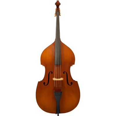 Maple Leaf Strings Mls110 Beginner Bass Outfit with Bow and Case