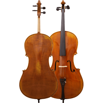 Maple Leaf Strings Lady Claire professional Cello with Case