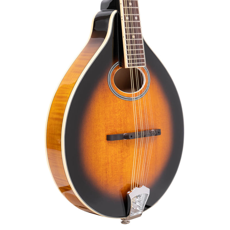 Gold Tone GM-50+ A-Style Electric Mandolin