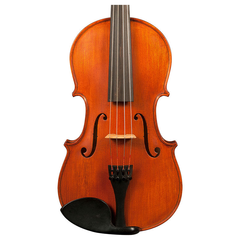 GVC KCC 203M VIOLA