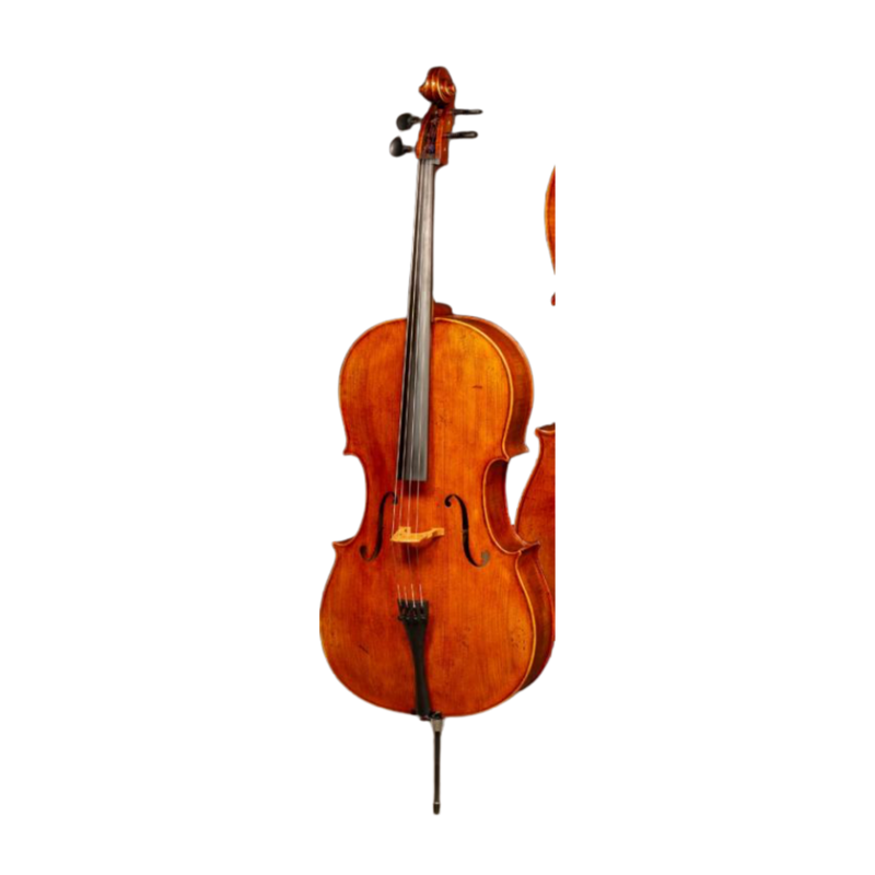Howard Core Lothar Semmlinger 133A Model Cello