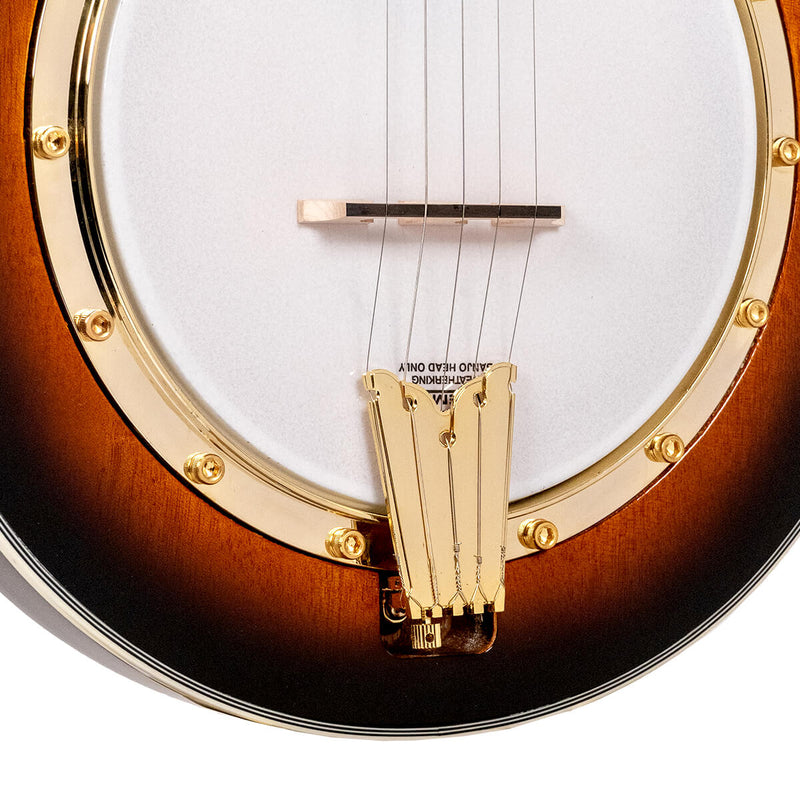 Gold Tone EBM-5 Electric Banjo