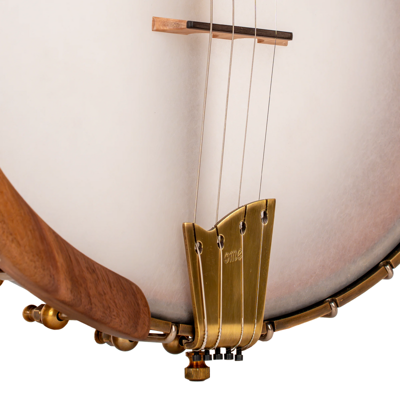 Gold Tone Ome Wicklow Irish Tenor Banjo – 19 Fret