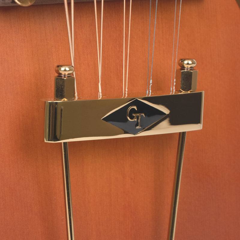 Gold Tone F-10 10-String F-Style Mandolin