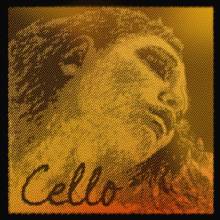 EVAH PIRAZZI GOLD CELLO SET – MEDIUM