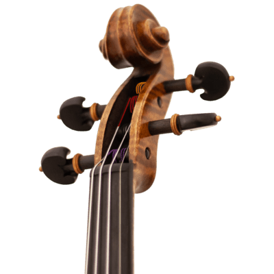 Maple Leaf Strings Master Lucienne Advanced Viola with Case