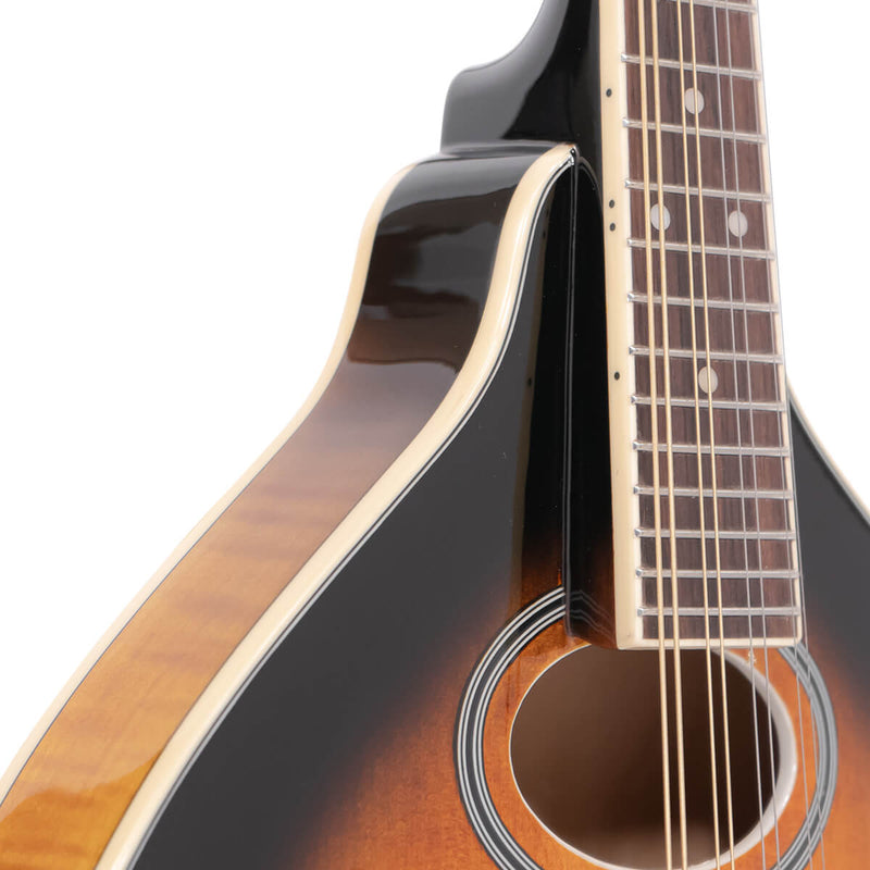 Gold Tone GM-50+ A-Style Electric Mandolin