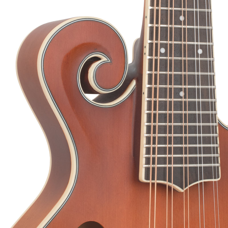 Gold Tone F-10 10-String F-Style Mandolin