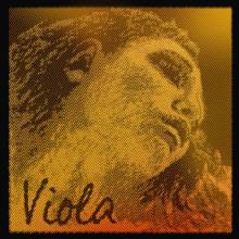 EVAH PIRAZZI GOLD VIOLA SET