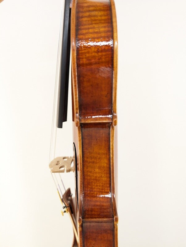Scott Cao Signature Series Violin