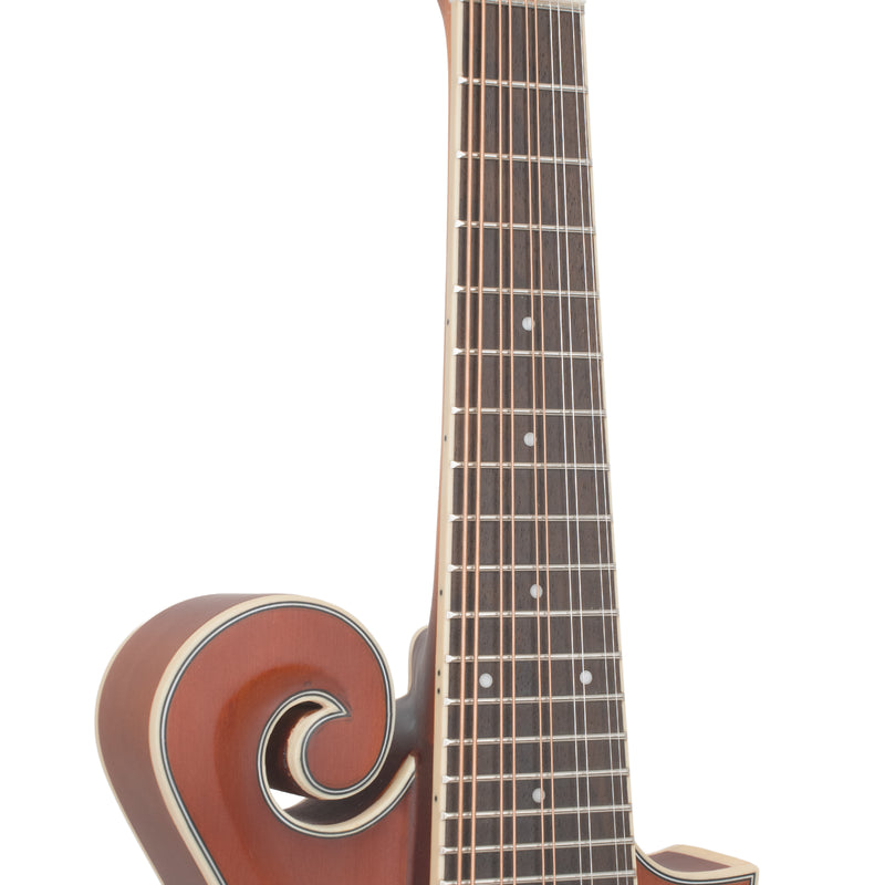 Gold Tone F-10 10-String F-Style Mandolin
