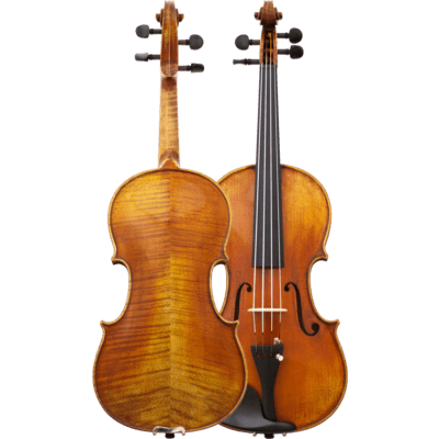 Maple Leaf Strings Lord Wilton  Intermediate Violin with Case
