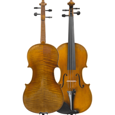 Maple Leaf Strings Medici Intermediate Violin with Case