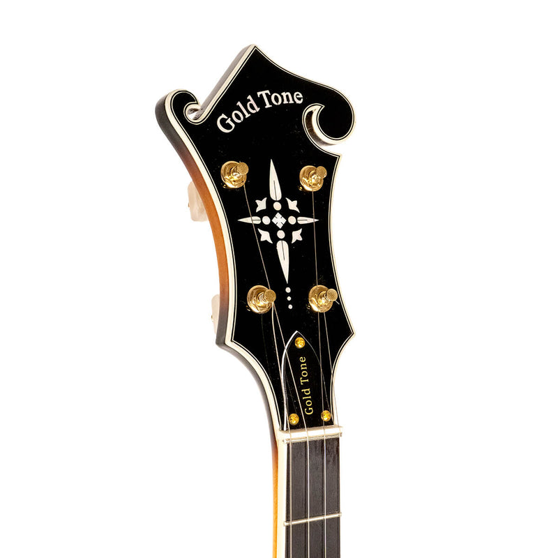 Gold Tone EBM-5 Electric Banjo