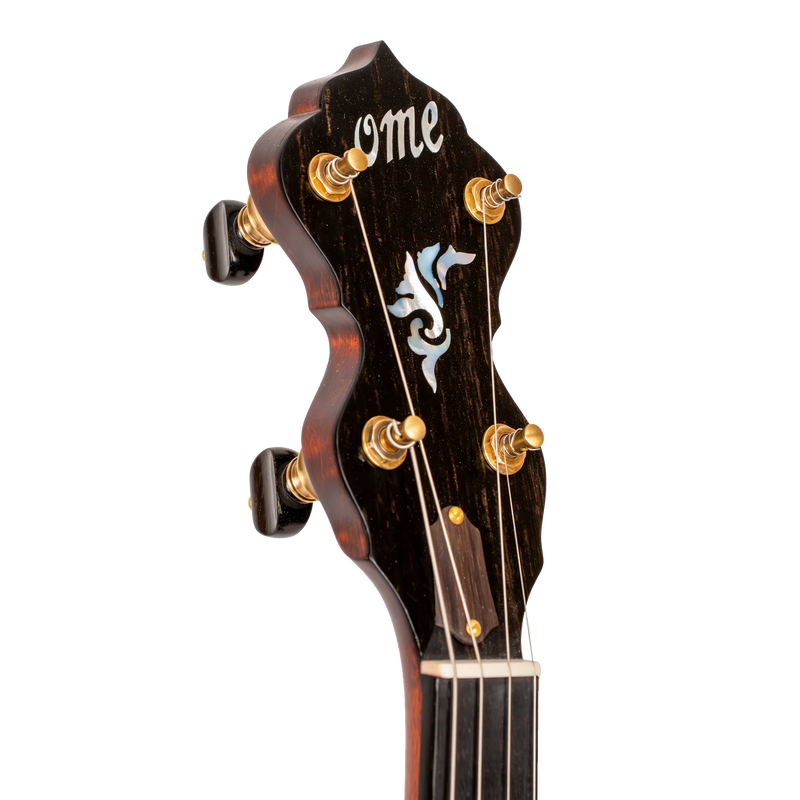 Gold Tone Ome Wicklow Irish Tenor Banjo – 19 Fret