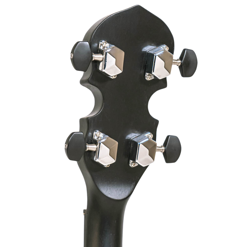 Gold Tone AC-4 Open-Back 4-String Tenor Banjo