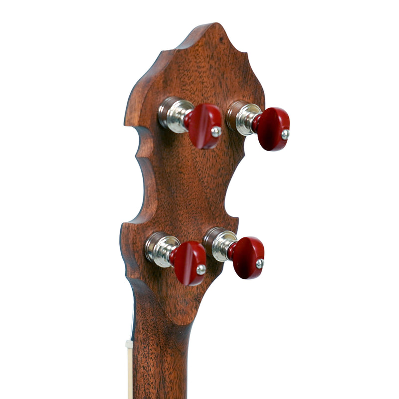 Gold Tone Mastertone Bluegrass Heart Béla Fleck Banjo