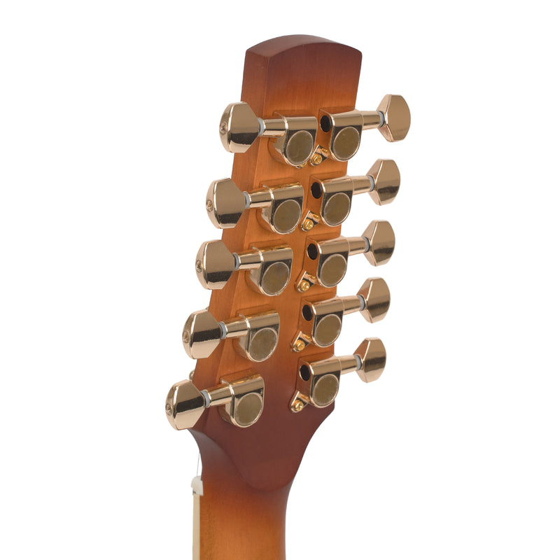 Gold Tone F-10 10-String F-Style Mandolin