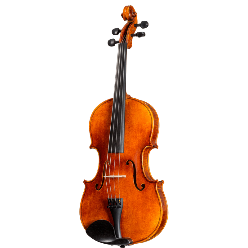 Howard Core Conservatory C20 Model Viola Outfit