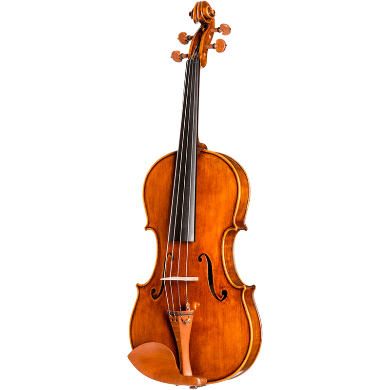 Howard Core Dragon DR10 Model Viola