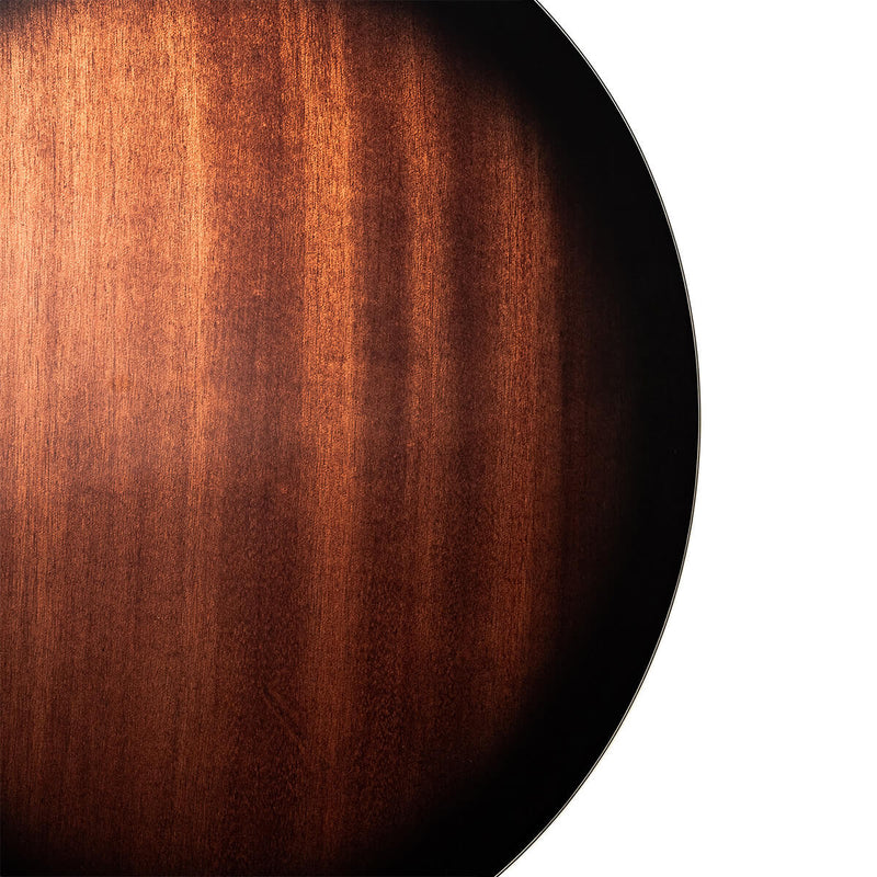 Gold Tone TS-250 Tenor Special Banjo