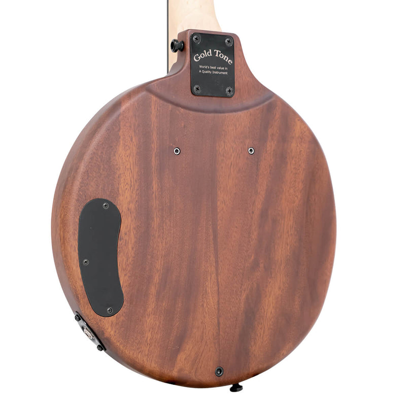 Gold Tone EB-6: Electric Banjitar