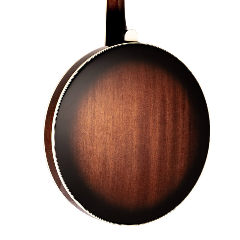 Gold Tone TS-250 Tenor Special Banjo