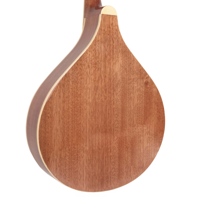 Gold Tone OM-800+ Octave Mandolin