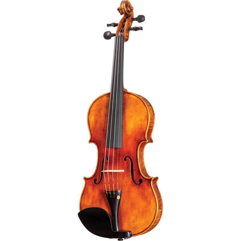 Howard Core Select CS2000-LACATHEDRALE Model Violin Outfit