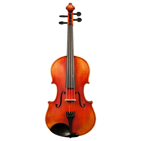 GVC NICOLAS PAROLA AP30E VIOLA