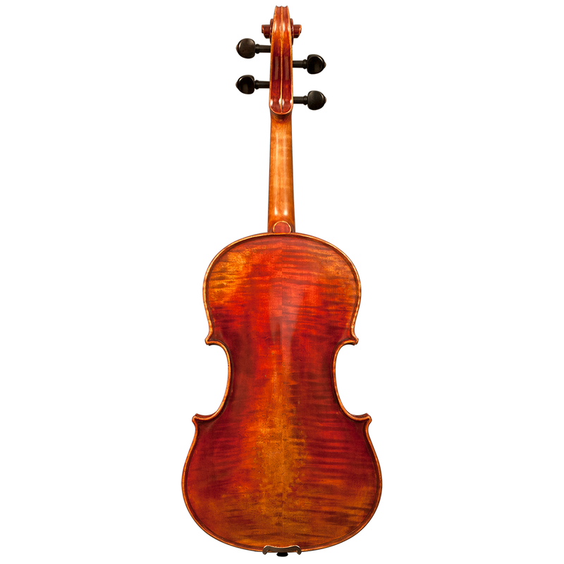 GVC NICOLAS PAROLA AP30N VIOLA