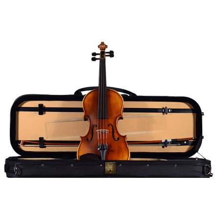 GVC H. LUGER CV300 VIOLIN OUTFIT
