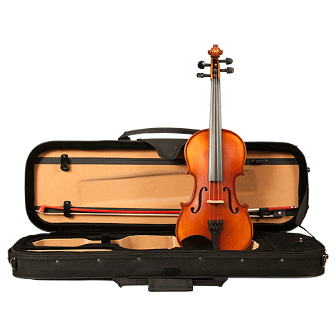 GVC H. LUGER CV301 VIOLIN OUTFIT