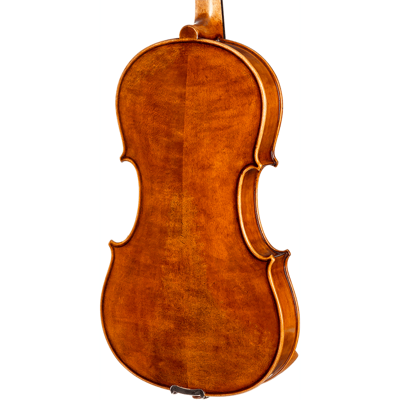 Howard Core Dragon DR10 Model Viola