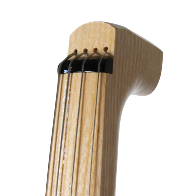 3Dvarius Horizon Electric Cello