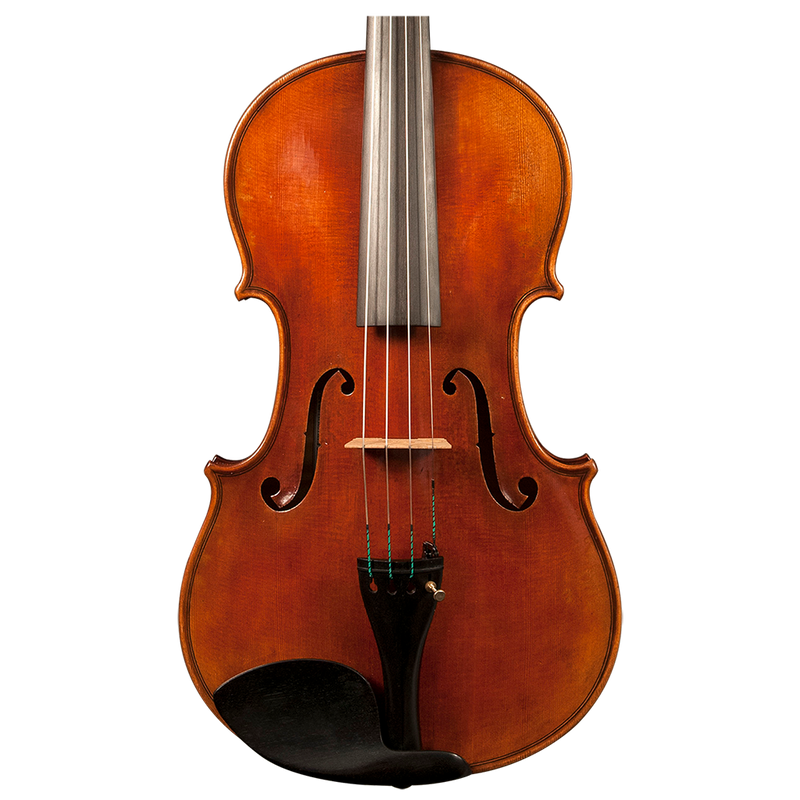 GVC STEFAN PETROV VIOLA SPA