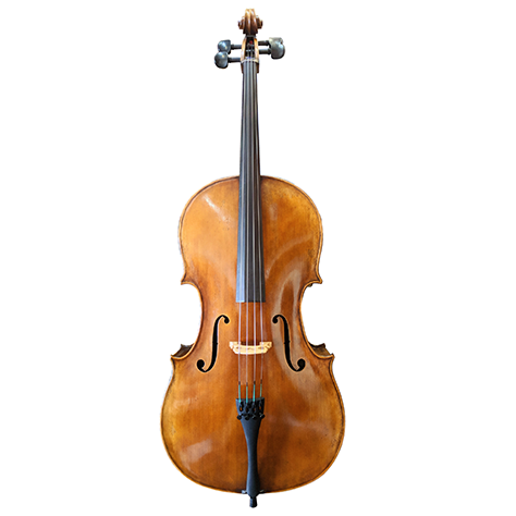 GVC STEFAN PETROV CELLO SPC