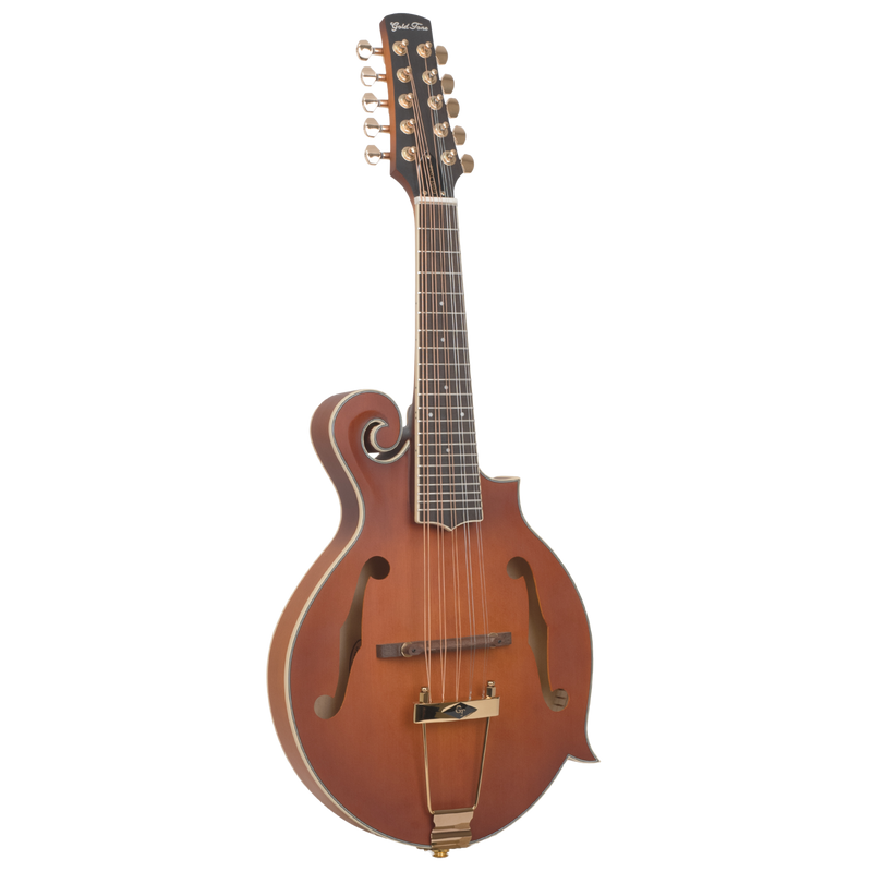 Gold Tone F-10 10-String F-Style Mandolin