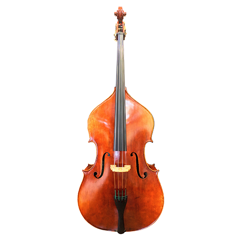 GVC NICOLAS PAROLA VB10 BASS