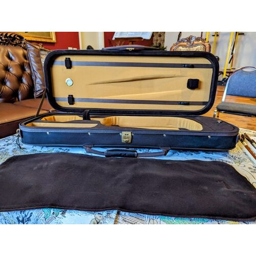 Scott Cao Oblong - Foam Viola Case