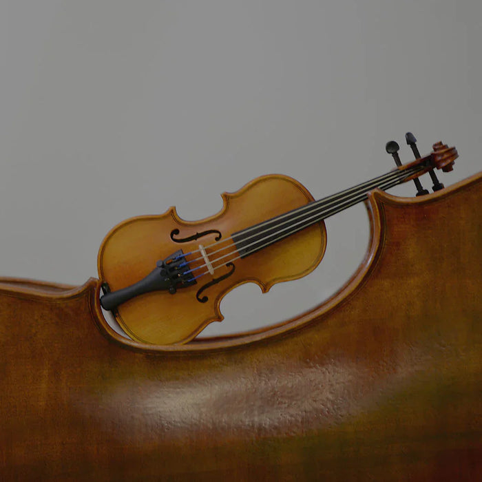 The Ultimate Sizing Guide for String Instruments