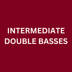 Intermediate Double Basses