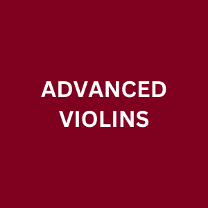 Advanced Violins