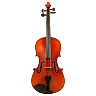 VIOLAS