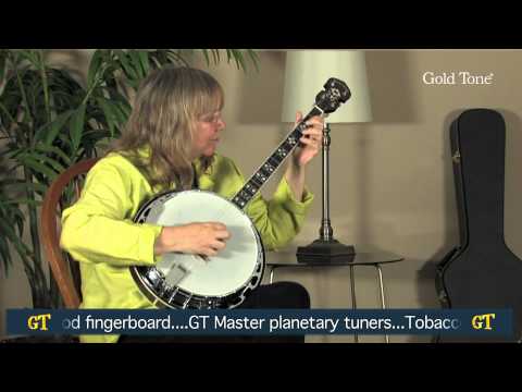 Gold Tone TS-250: Tenor Special Banjo with Case