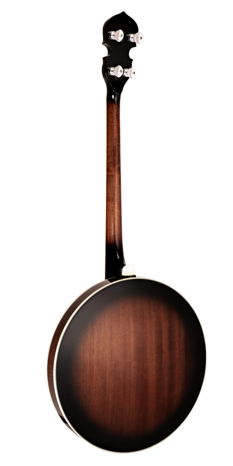 Gold Tone TS-250: Tenor Special Banjo with Case