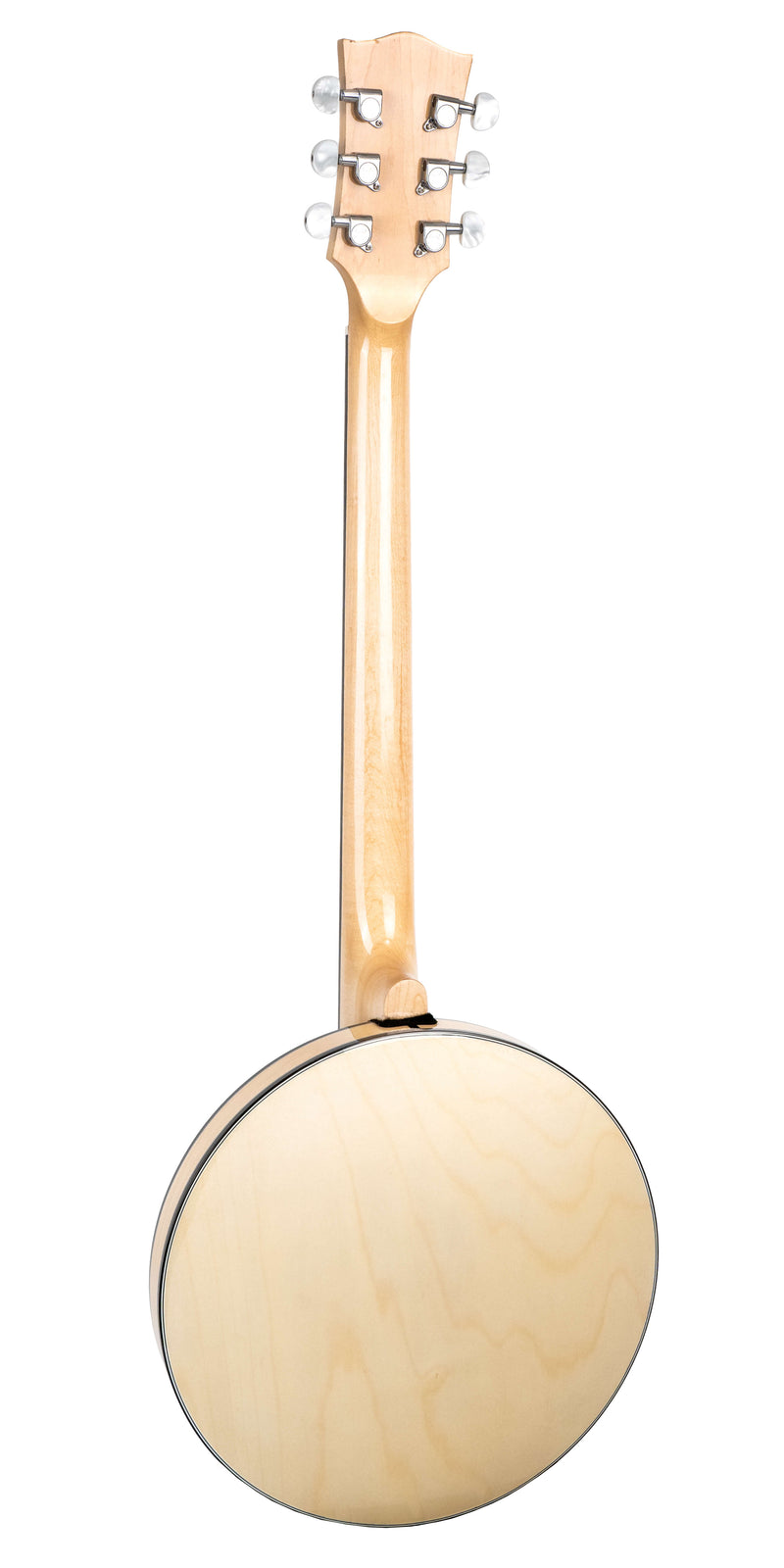 Gold Tone GT-500: Banjitar with Case