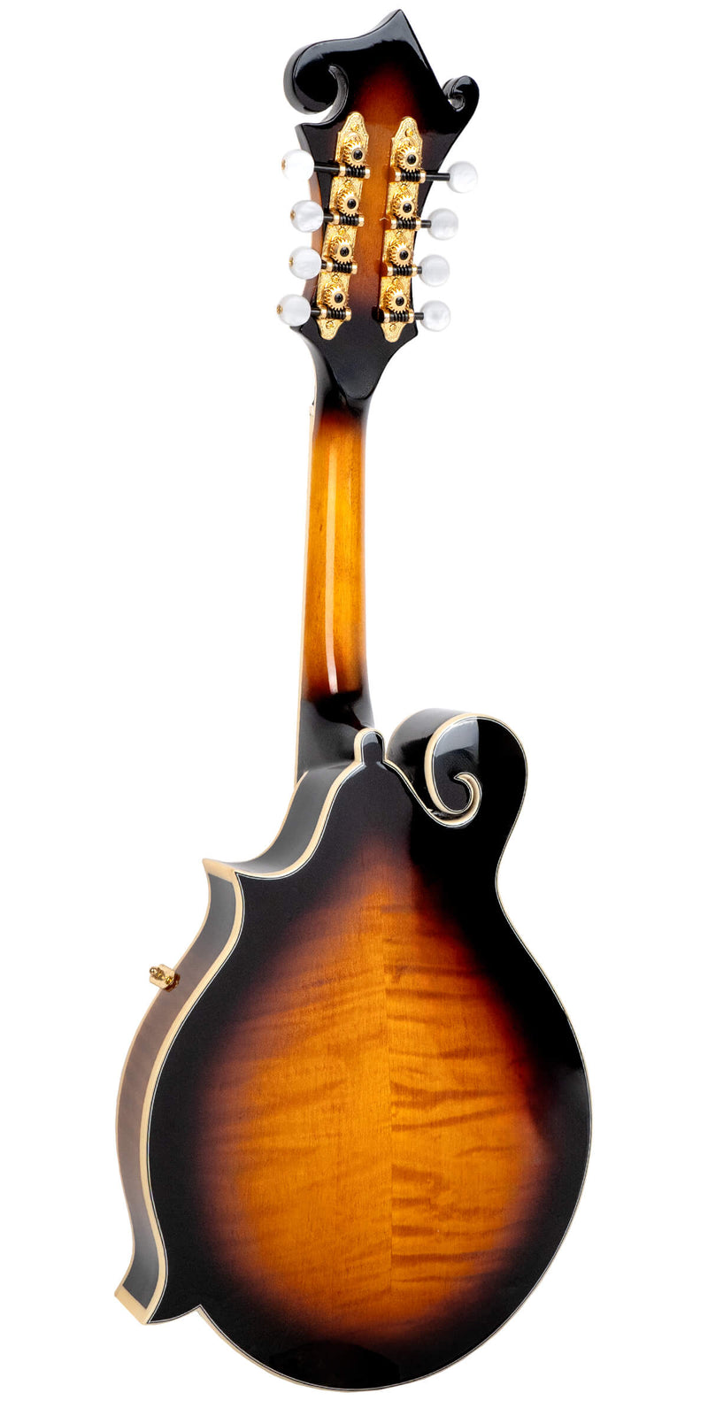 Gold Tone Mastertone™ GM-70+: F-Style Mandolin with Case